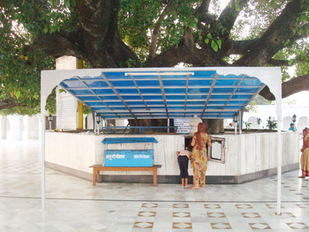 Prayers of the holy pipal tree (Panja Sahib) in Nankmatta Sahib